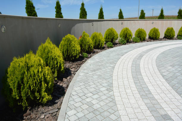 Reliable West Glendive, MT Driveway Pavers Solutions